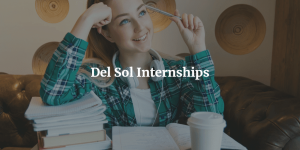 Del Sol Internship